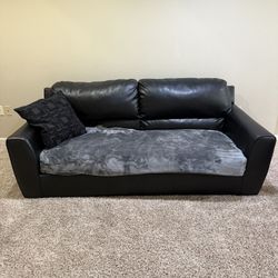 FREE Couch & Loveseat
