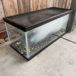 20 gallon tank 