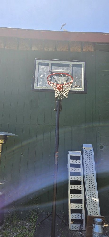 Lifetime Basketball Hoop