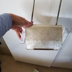 Metallic Crossbody New Bag