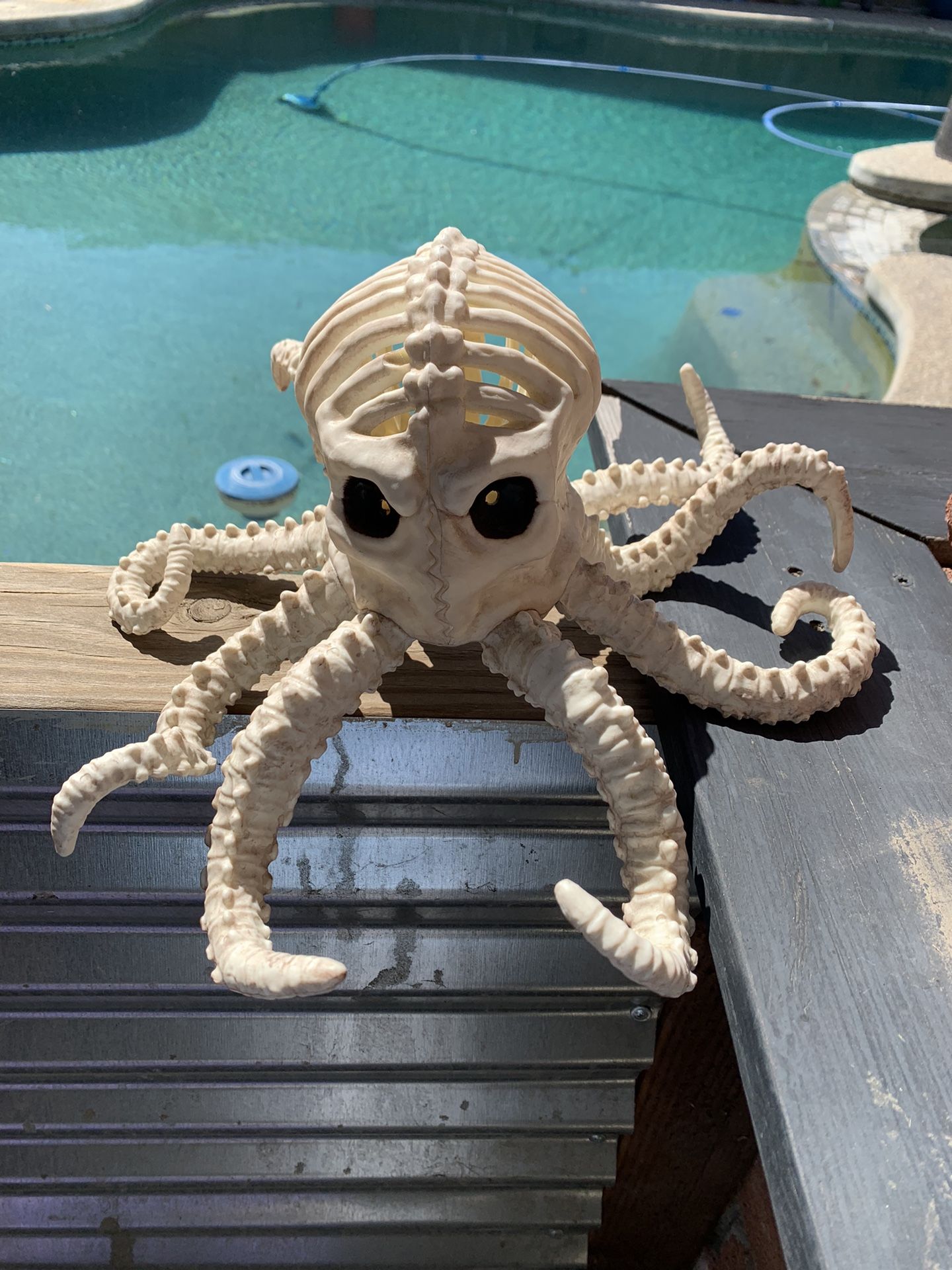 Skeleton Octopus