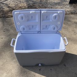 Rubbermaid “5-Day” Cooler
