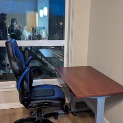 Curb Alert - Standing Desk - Great Condition 