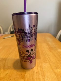 Disneyland Stainless Steel Tumbler with Straw