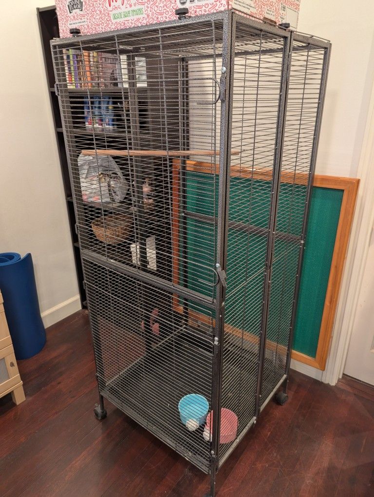 Bird Cage