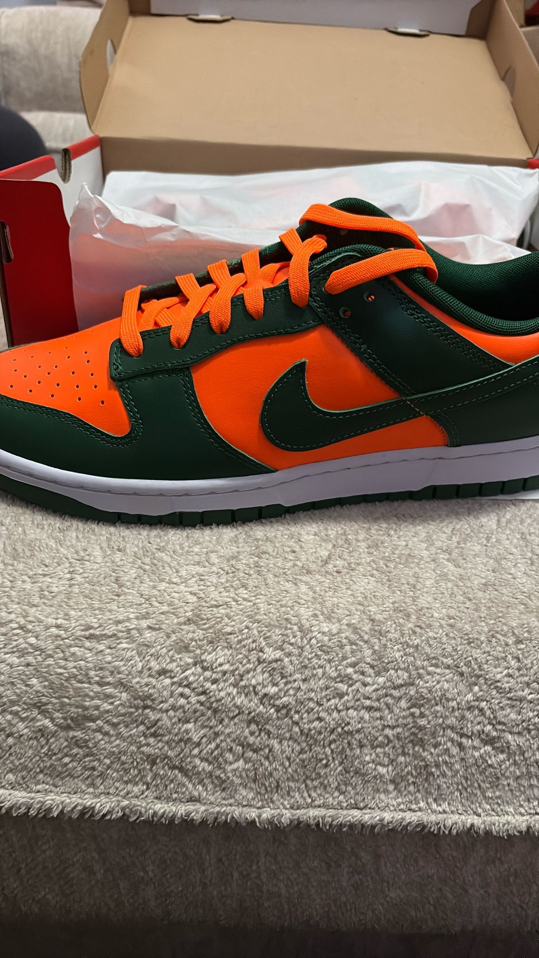 Nike Dunk Low Retro Miami Hurricanes