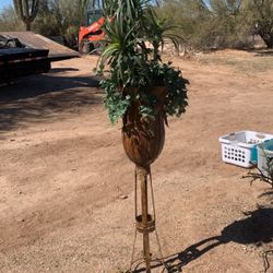 Plant Display - Decorative