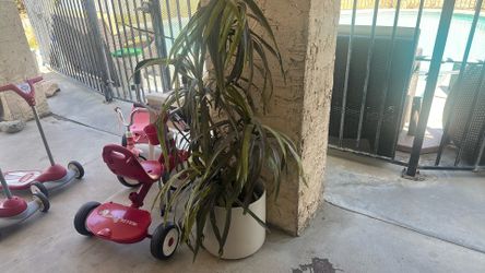Fake plant