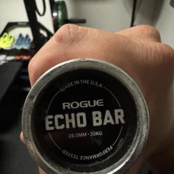 Rogue rack And Rogue Echo Barbell 
