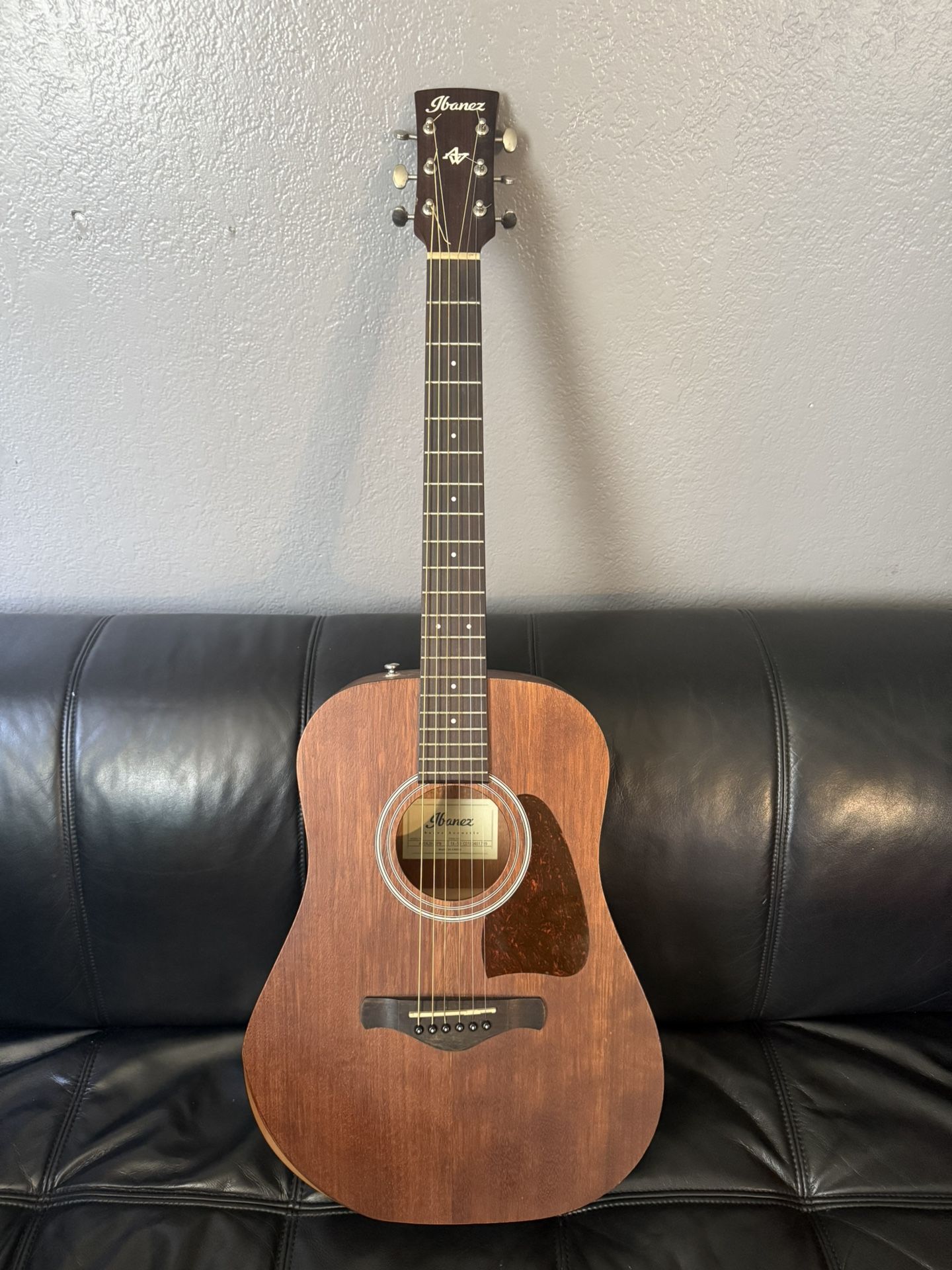 Ibanez Guitar