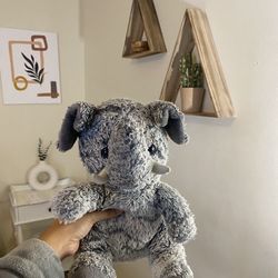 Gray Teddy Bear