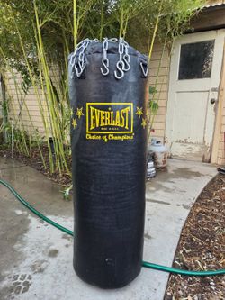 Punching Bag