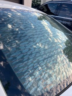 Window  Tint