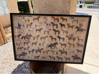 Horse picture framed