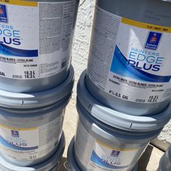 Pintura Blanca Y De Color Paint 