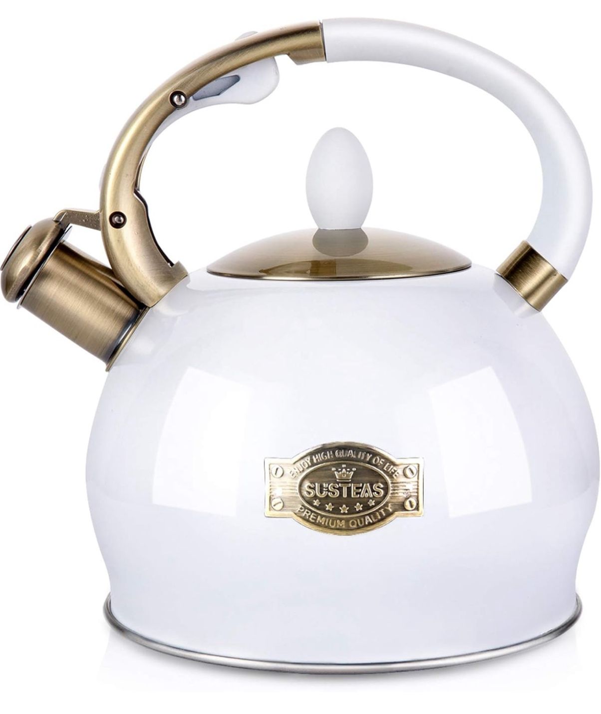 New Stove Top Whistling Tea Kettle - Food Grade Stainless Steel Teakettle Teapot with Cool Touch Ergonomic Handle, With 1 Silicone Pinch Mitt