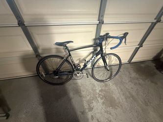 Giant bicycle