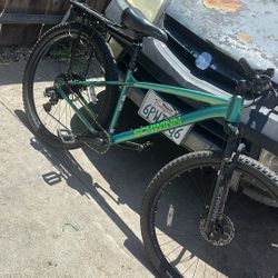 Schwinn Axum DP 29 inch Mens Mountain Bike, 17 inch Frame Adult Bicycle, Green 