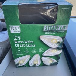 New Home Accents Christmas 25 Warm White C9 Led Lights