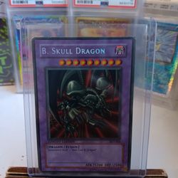 B. Skull Dragon LIMITED EDITION 