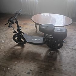 Electric Scooter 