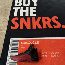 Jordan 12 “Flu game”