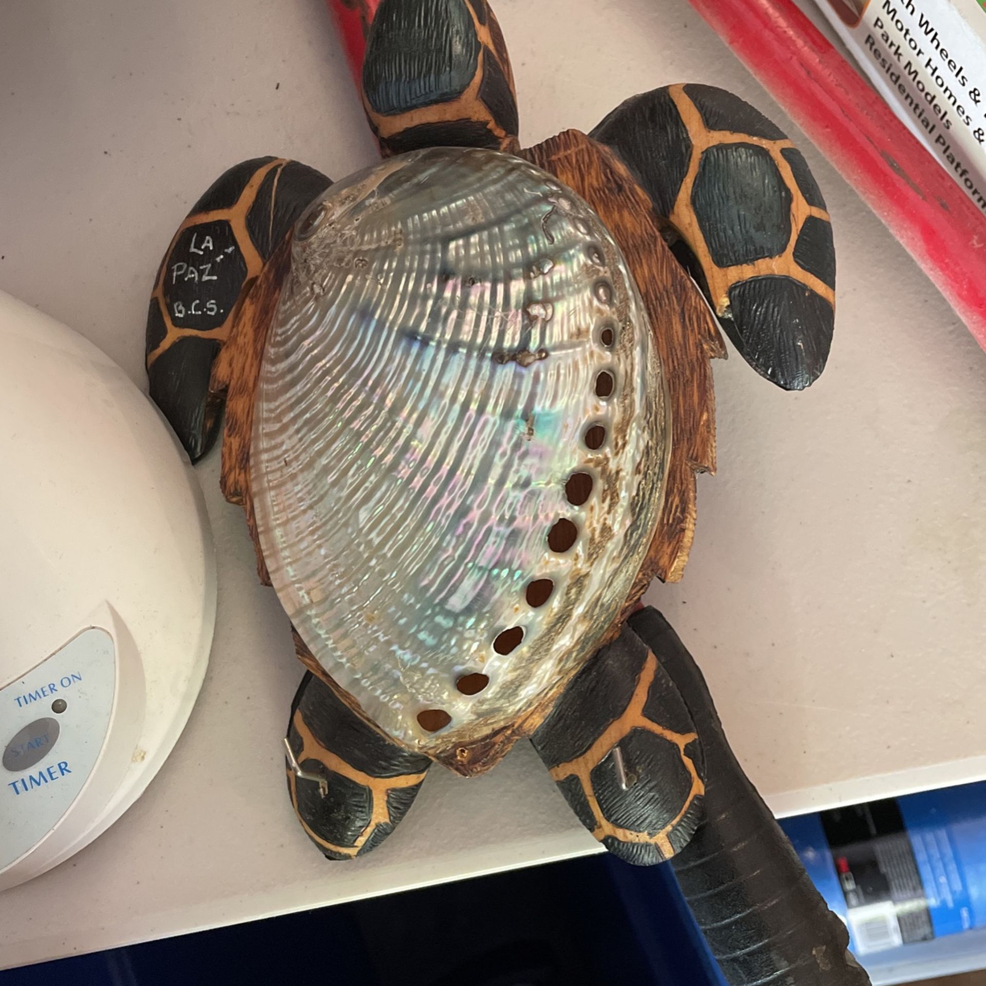 Turtle