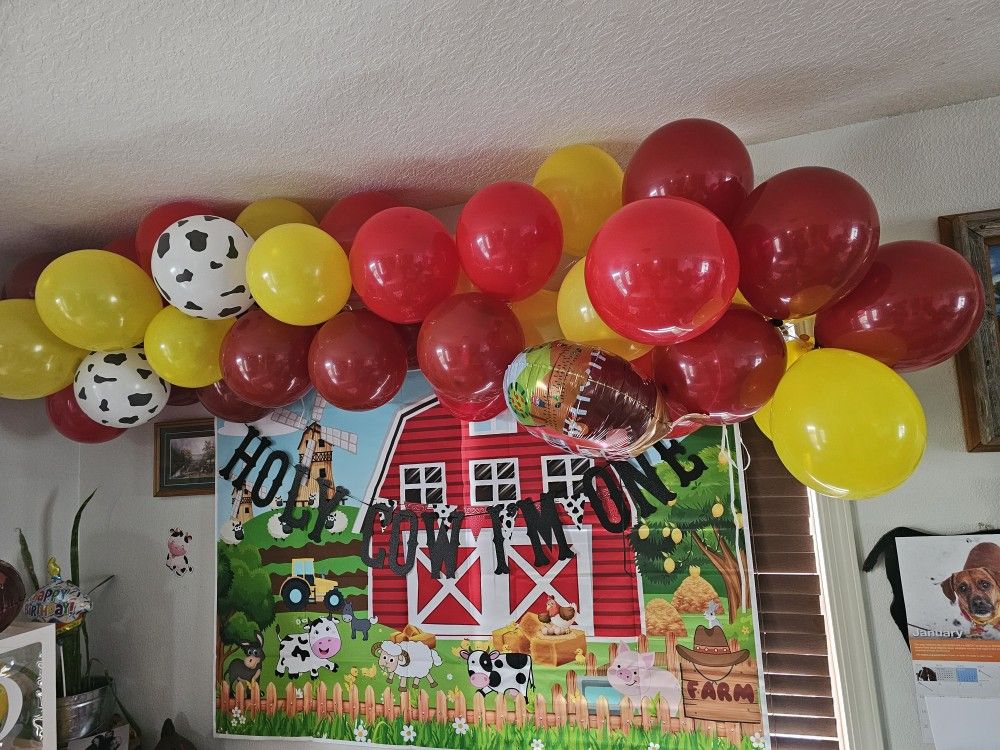 Holy Cow Im One Decor