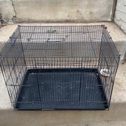 Birdcage