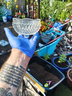 Indian Glass "diamond point" candy dish