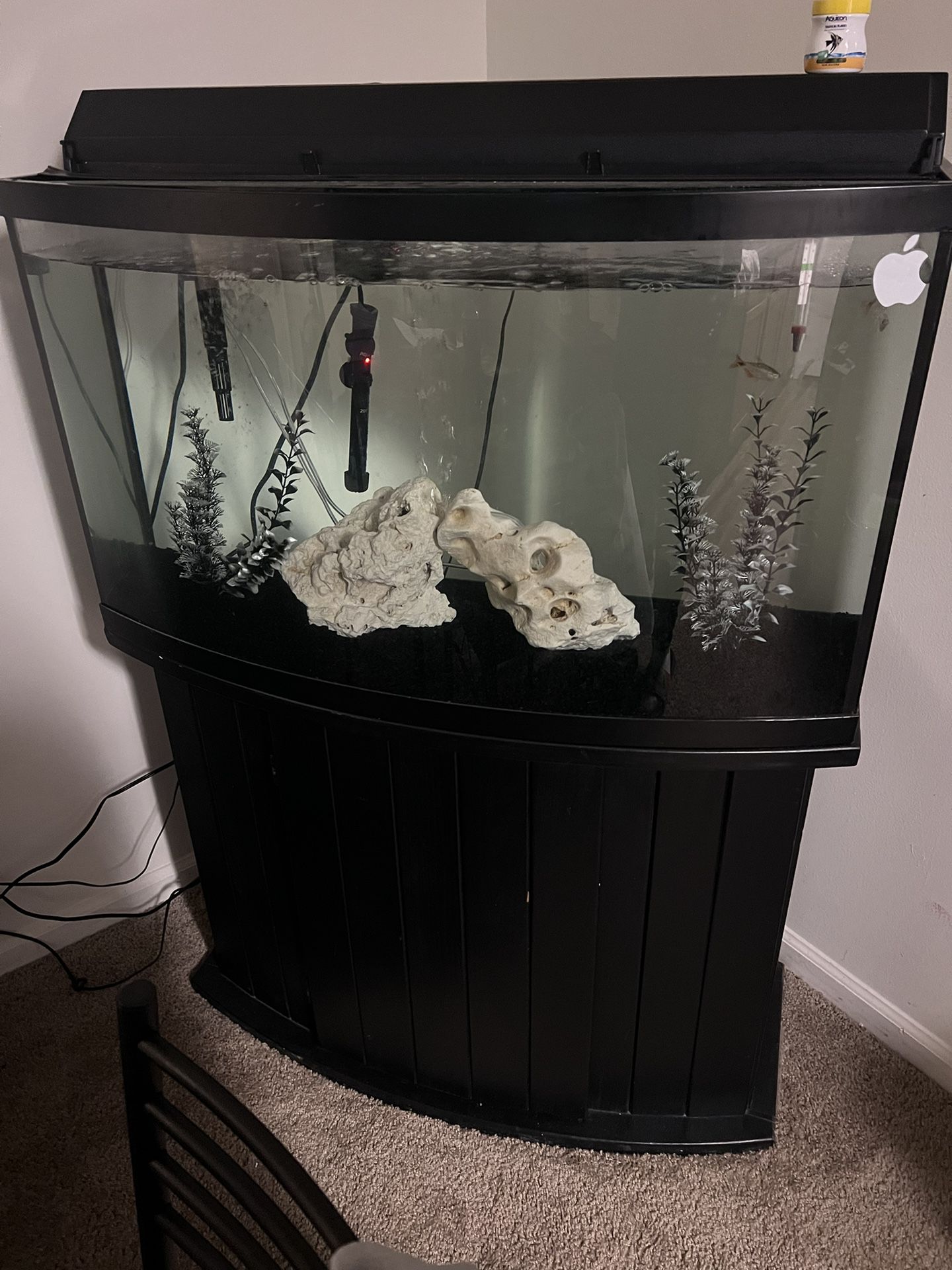 aqueon 55 gallon bow front fish tank
