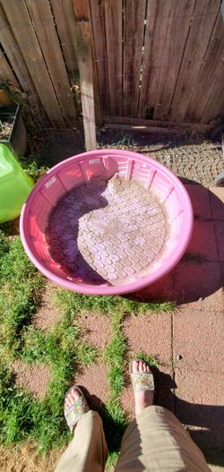 Free Kiddie or puppy pool