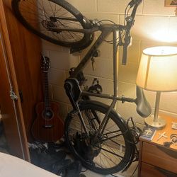 Verve+ 2 Electric Bike