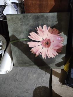 Daisy Painting