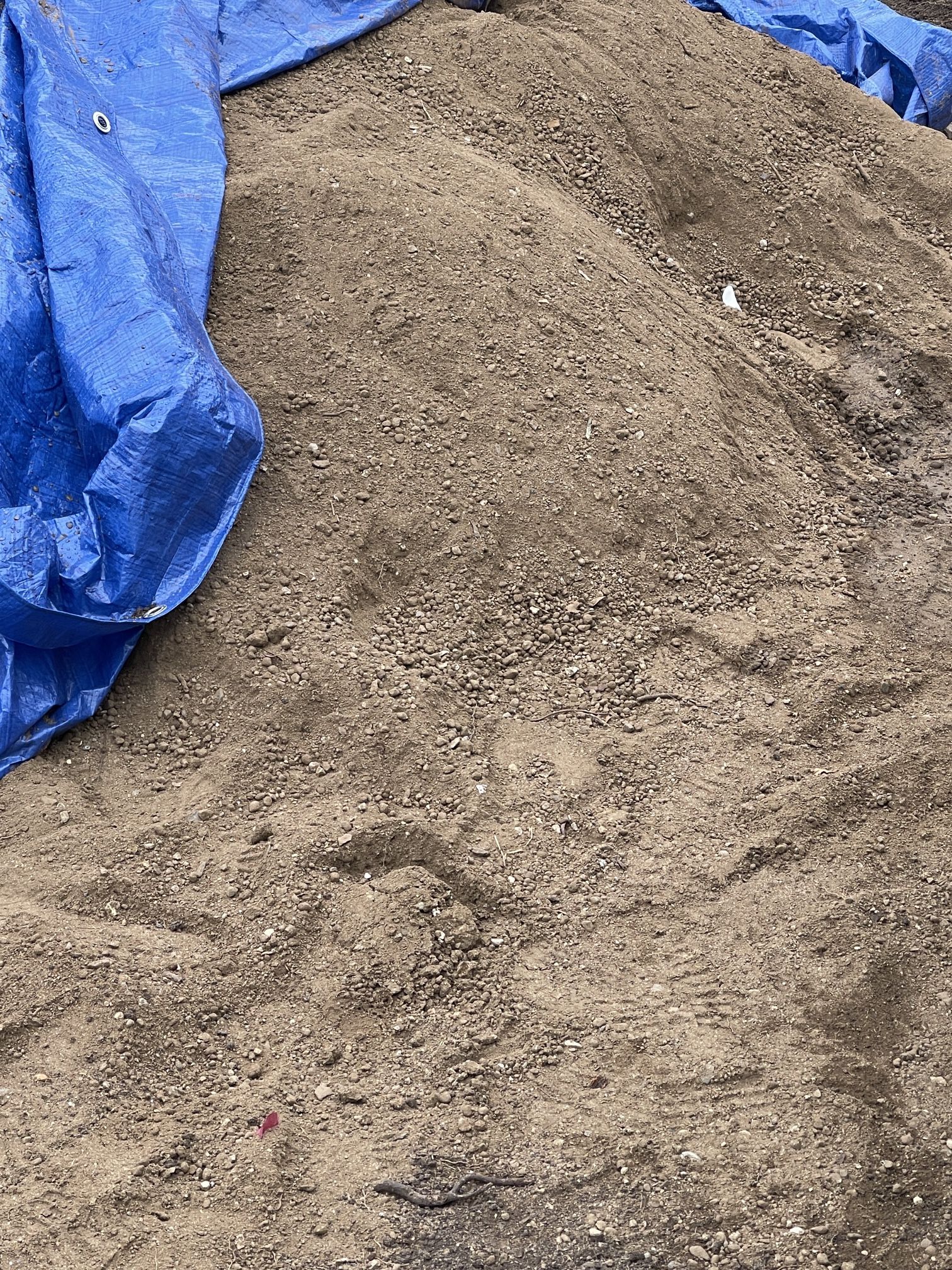 FREE Top Soil. USDA Class A, Weed-Free, Sandy-Loam Topsoil with our 100% Organic Compost Soil Amendment. FREE. I ordered too much and need it