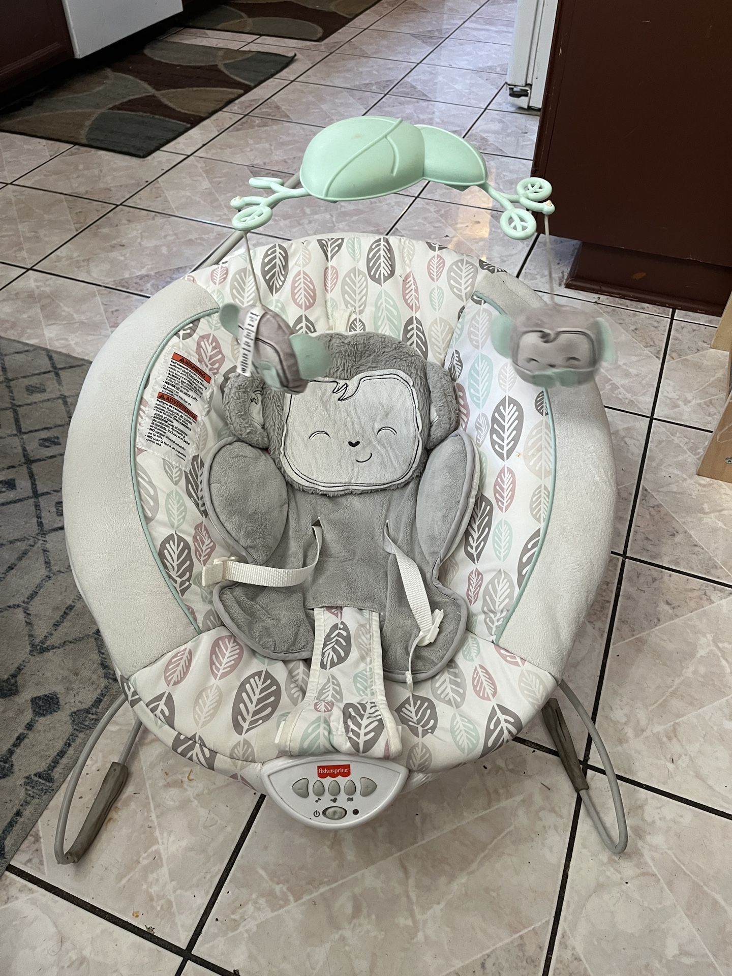 Fisher Price Baby Bouncer