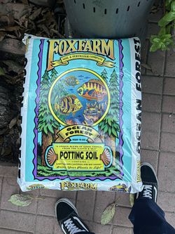 Fox farm Ocean Forest