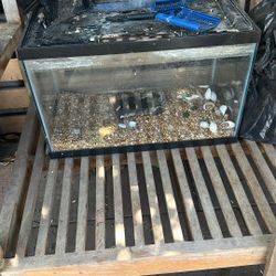 Fish Tank 15 Gallon