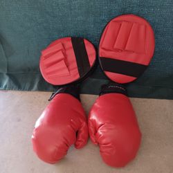 Training Gloves And Pads 
