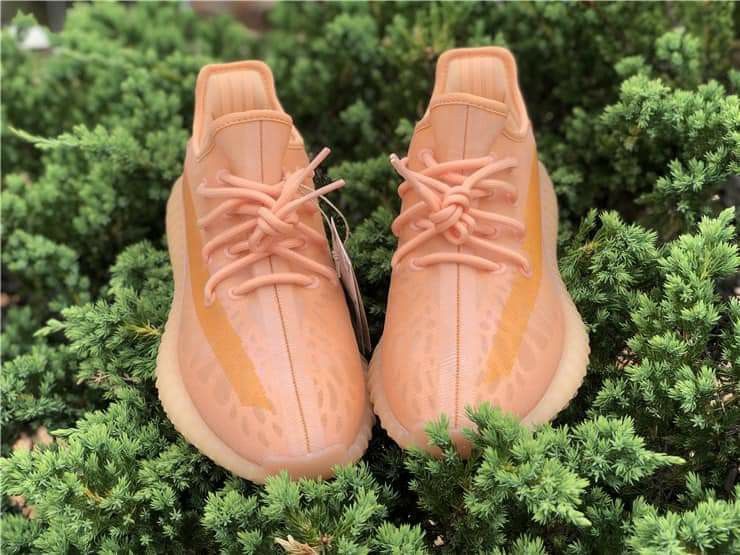 Adidas Yeezy Boost 350 V2 x Mono Clay
