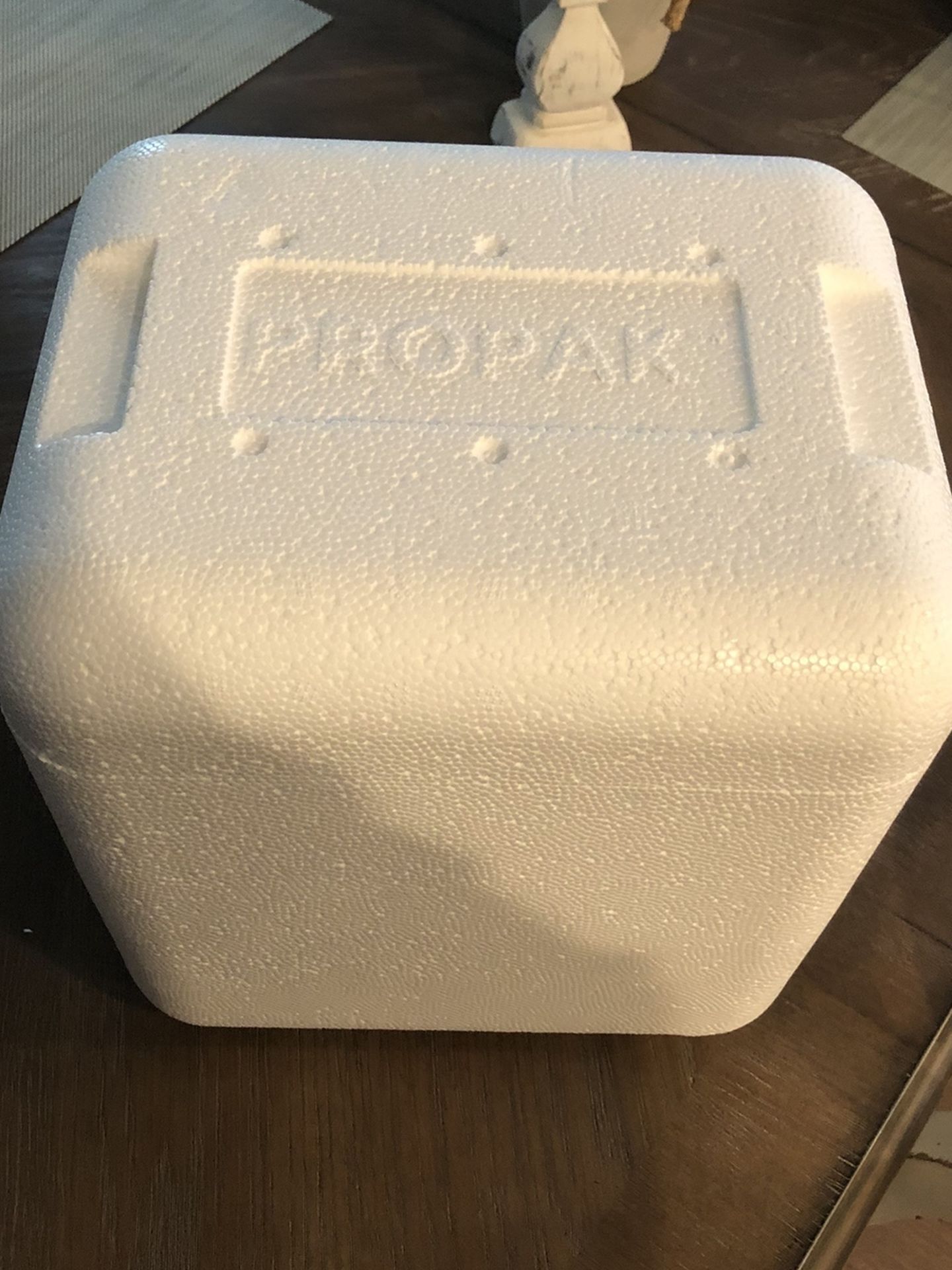 Mini Styrofoam cooler