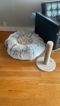 Cat stuff