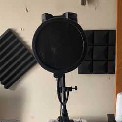 Recording Studio Mic