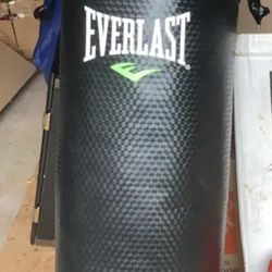 Brand New Everlast Everstrike 70lb Heavy Bag
