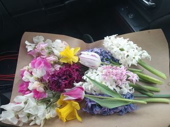 Fresh Flowers Bouquets
