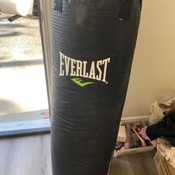 Everlast Punching Bag 