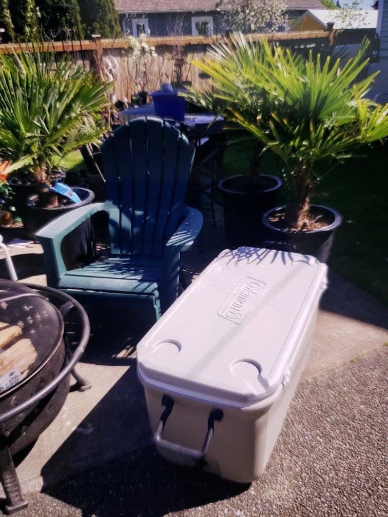 Excellent Colman Cooler