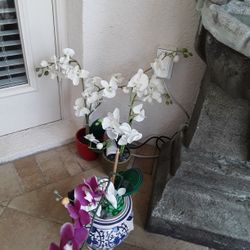 Fake Decor Plants  In Weeki Wachee Erea Code 34613