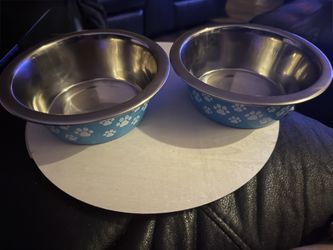 Stainless Steel Food / Water Bowls (set of 2)
