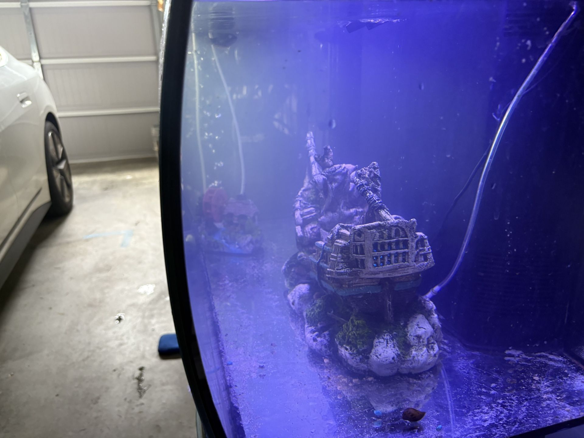 30 Gal. aquarium Woth Fi As n